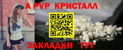 jwh Кингисепп