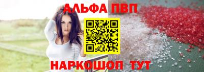 jwh Кингисепп