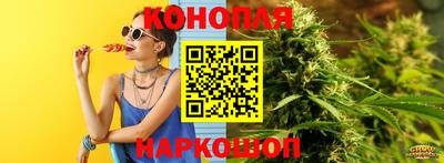 jwh Кингисепп