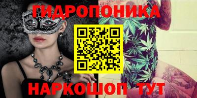 jwh Кингисепп