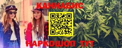 jwh Кингисепп