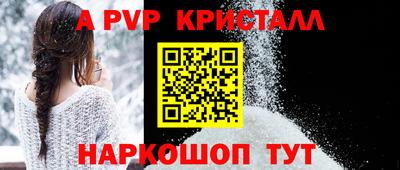 jwh Кингисепп