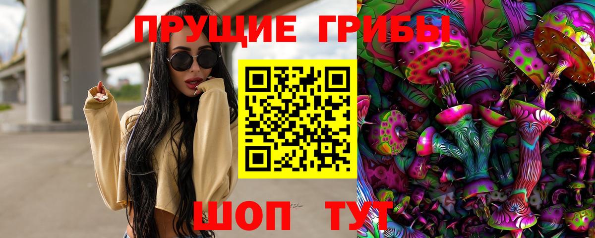 Арзамас  купить наркоту  Вход с VPN  Псилоцибиновые грибы GOLDEN TEACHER 